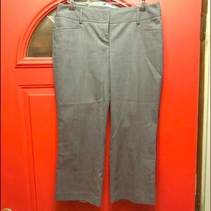 Express Design Studio Capris